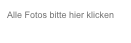 Alle Fotos bitte hier klicken